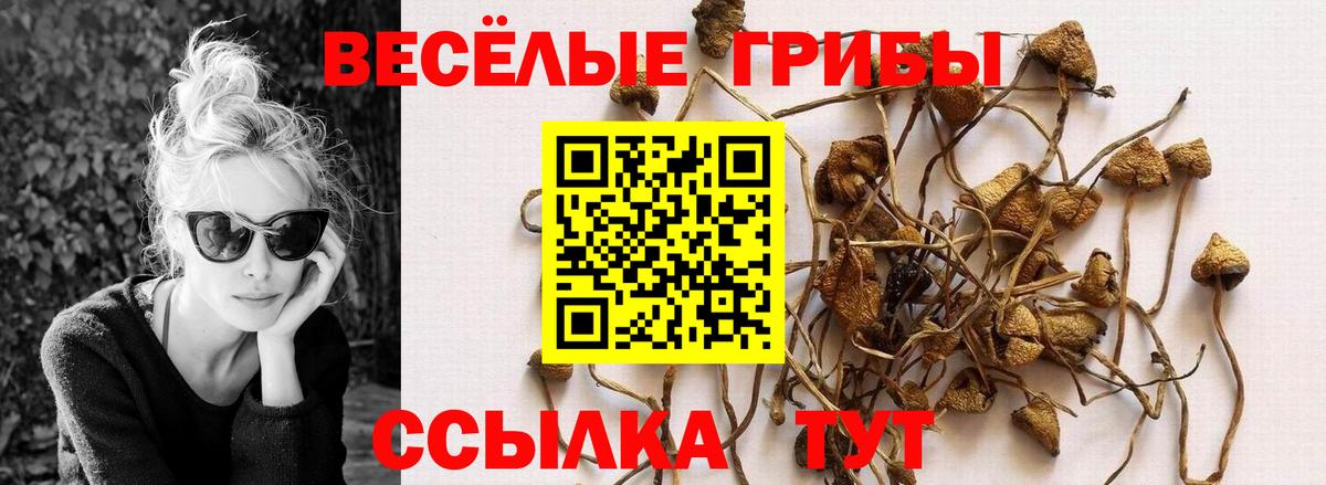 Галлюциногенные грибы мухоморы  Вход с VPN  где найти   Елизово 