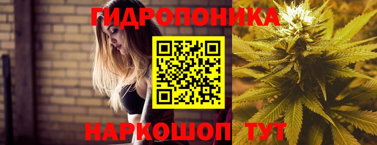Бошки марихуана OG Kush Елизово